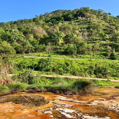 فندق Lemara Eco Camp Kisaki المظهر الخارجي الصورة