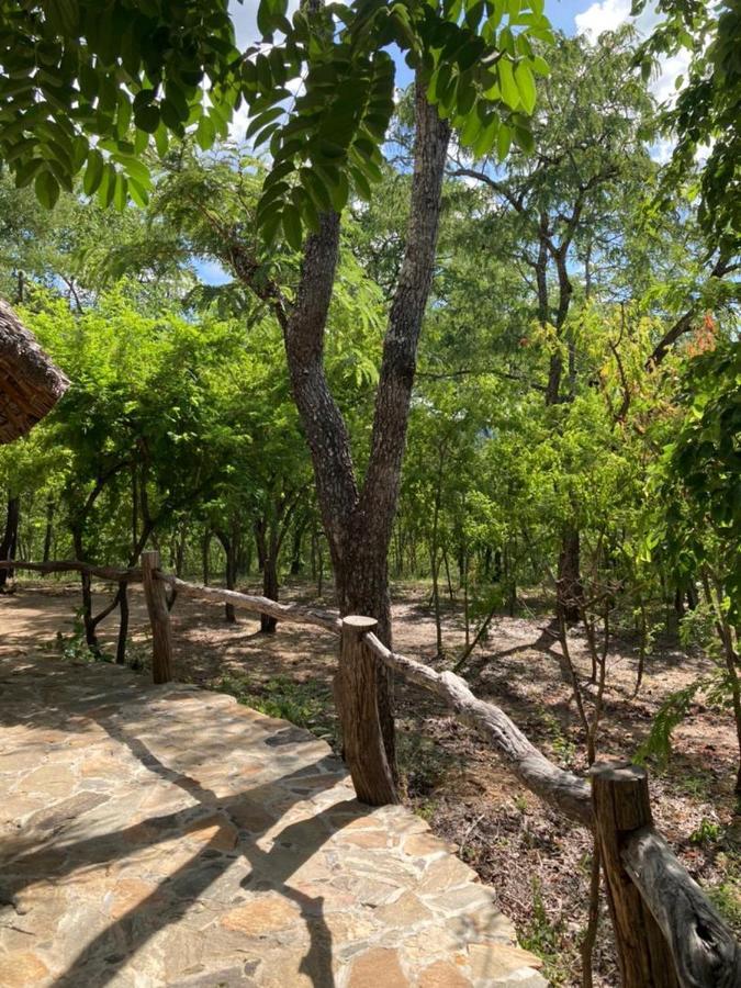 فندق Lemara Eco Camp Kisaki المظهر الخارجي الصورة