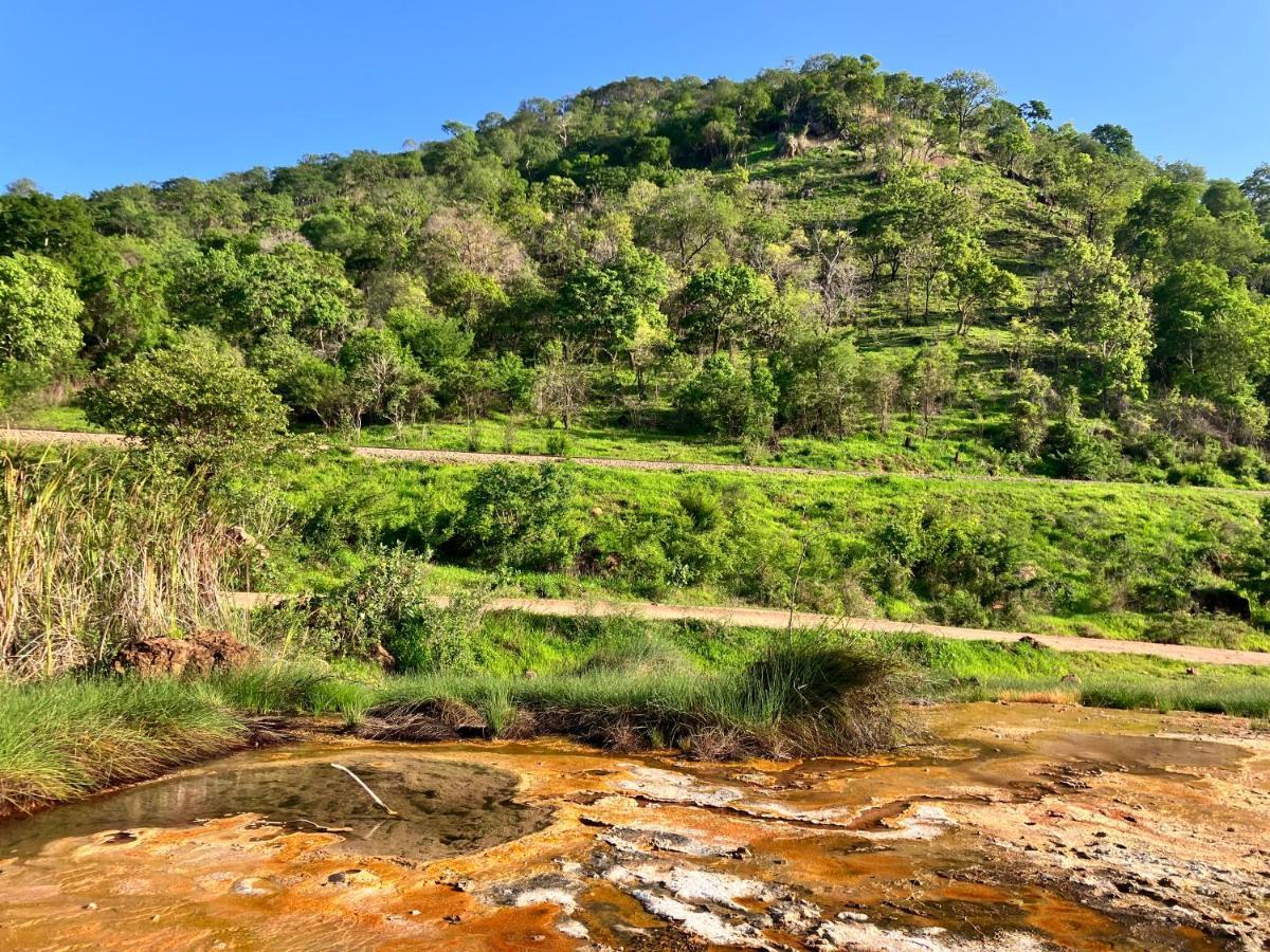 فندق Lemara Eco Camp Kisaki المظهر الخارجي الصورة