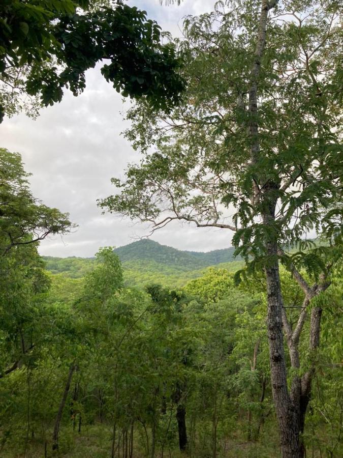 فندق Lemara Eco Camp Kisaki المظهر الخارجي الصورة