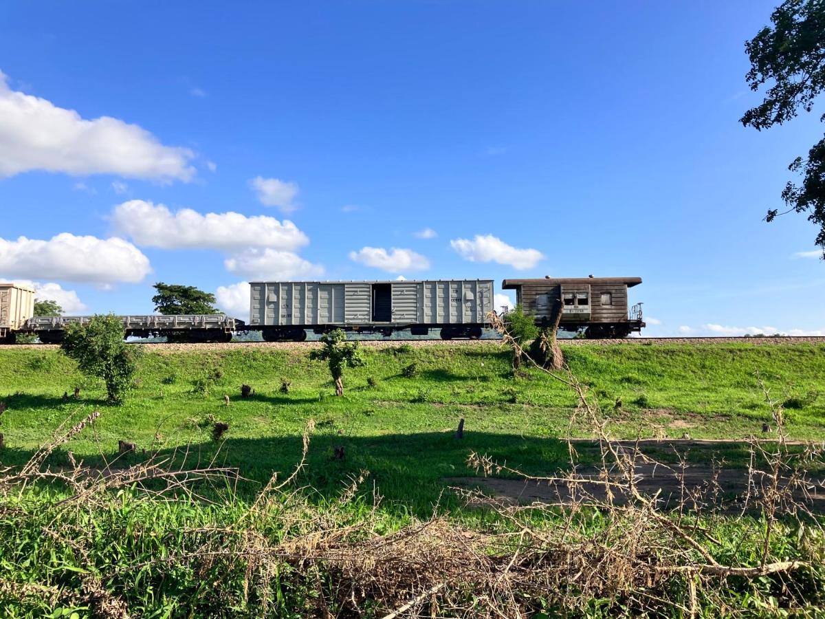 فندق Lemara Eco Camp Kisaki المظهر الخارجي الصورة
