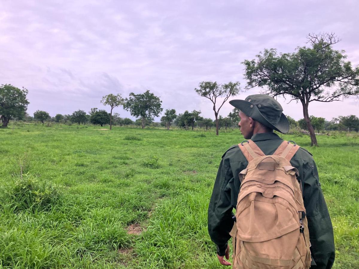 فندق Lemara Eco Camp Kisaki المظهر الخارجي الصورة
